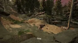 PTR: Utah Raptor Dominance Display
