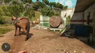 Horses going wild in Far Cry 6