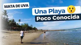 Playas De Mata De Uva En Veracruz | Una Belleza Escondida