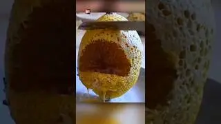 3000 Years Old Honey, Still Edible