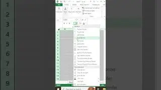 Ms Excel shortcut key 