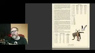Palladium RPG 1e #84: Druid