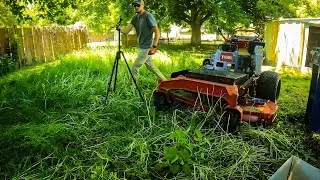 "No Mow May" Can DESTROY An Entire YARD | Week In The Lawn Care Life #4