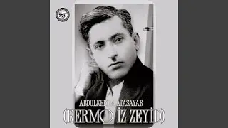 Misafir Gelmişem