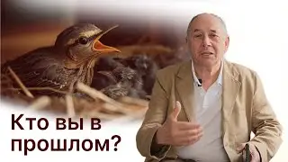 Новая реальность: Узнайте сейчас, от куда берутся истоки проблем