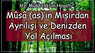 Mûsâ (as)’ın Mısır’dan Ayrılışı ve Denizden Yol Açılması | Allah'ın Yardımı