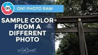 How To Sample Color From One Photo To Another In Photo RAW