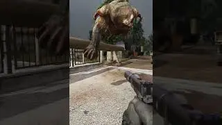 Why Stalker Gamma is Amazing 