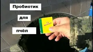 Применение пробиотика на пасеке