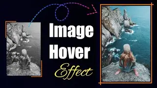 How to Create Image Border Hover Effect Using HTML & CSS | Step by Step Hindi Tutorial