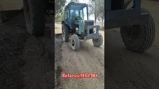 tractor MTZ Belarus 80. 