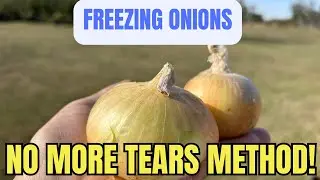 NO MORE TEARS!   The Ultimate Guide To Freezing Fresh Onions From Your Garden 🧅