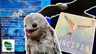 The Definitive Birding Iceberg (Part 1)