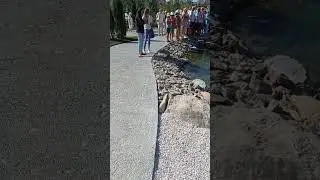 Новый Херсонес современная античность в Севастополе как город в городе #music