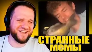 woodskiyded СМОТРИТ UNUSUAL MEMES COMPILATION V283
