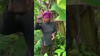 See what happened to Joyce Blessing at her farms oo😦