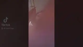 hoaaaaaammmmm... 