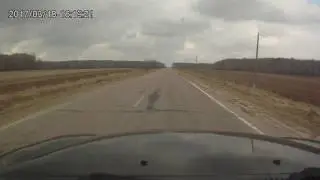 Городище и Зыбино, едем в Алёшково