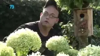 What does the fox say?! (Koekoek Jonguh!!!)