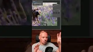 Lavendel auffüllen mit Generativer Füllung - Photoshop 