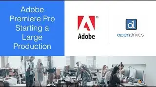 Adobe Premiere Pro Tips & Tricks with Karl Soule