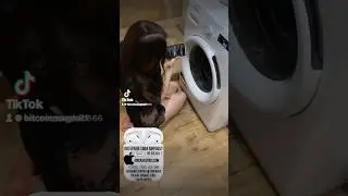 Потерял Airpods как найти