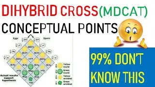 DIHYBRID CROSS | CONCEPTUAL POINTS | MDCAT ONLINE PREP | MDCAT BIOLOGY