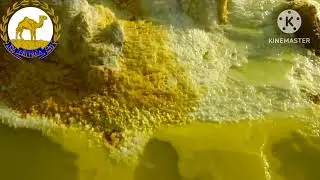 Гимн Эритреи - 