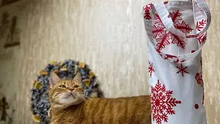 Bottle bag. Textile eco-friendly packaging, detailed tutorial.