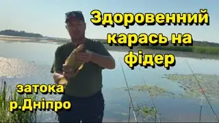 Здоровенний карась зламав фідер, риболовля в затоці річки Дніпро