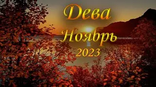 Дева Таро прогноз на Ноябрь 2023 года.