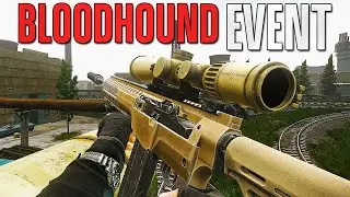 NEW Bloodhound Event in Tarkov gets CRAZY!