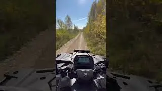 Осень 🍂