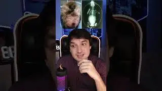 Ёжик