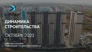 ГК ТОЧНО - ЖК «СТРИЖИ» октябрь 2023