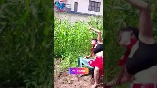Flying Heigh Fail Live 