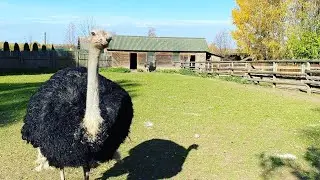 Прямой эфир