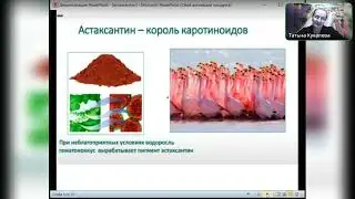 Что такое Астаксантин, почему он важен. Как защитить  свое здоровье в наше время.