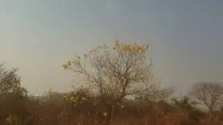Belezas dos arredores de Itápolis, SP - Ago 2021