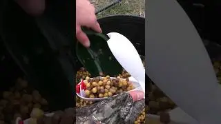 Риболовля на коропа весною 2024 