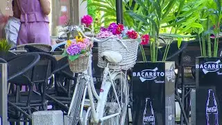 Daily in Bucharest