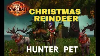 HOW TO TAME Christmas Reindeer / PET/ WOW / WorldOfWarcraft