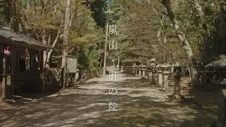 嵐山の奥の院 : Deep Dive Into Arashiyama（Kyoto, Japan）