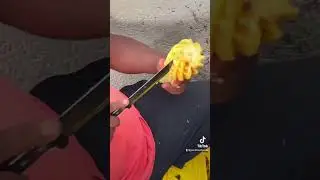 #jamaica