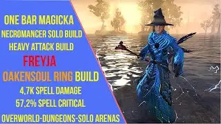 ESO One Bar Magicka Necromancer Solo PVE Build - Freyja - Lost Depths - Heavy Attack Build