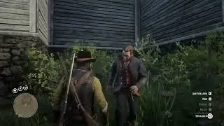 Insults Cure NPC Glitches in RDR2