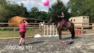 Barney Circus Act
