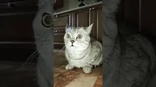 Самая мощная организация в мире 