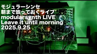 I Left My Modular Synth Alone All Night - Sep 25, 2025.