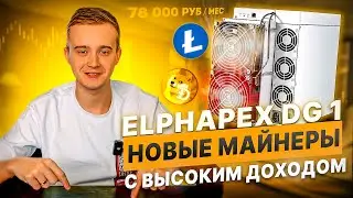 Elphapex DG1 и Dg1+ доходность майнеров